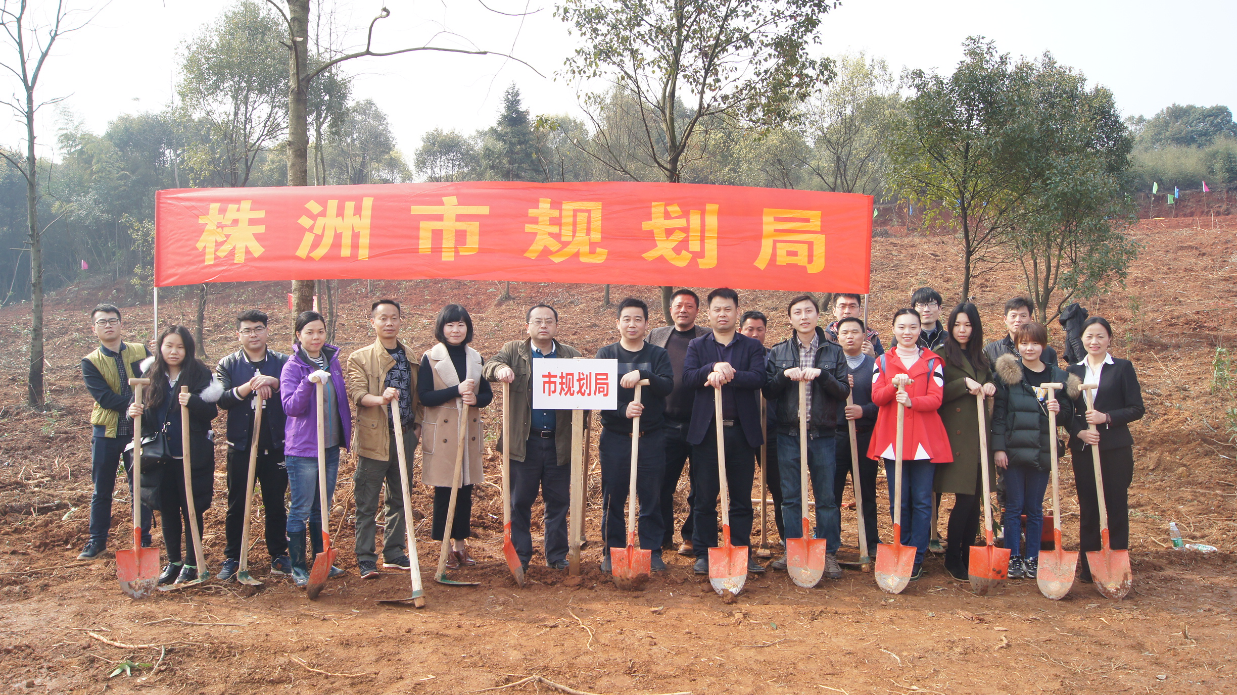 市规划局参加义务植树活动