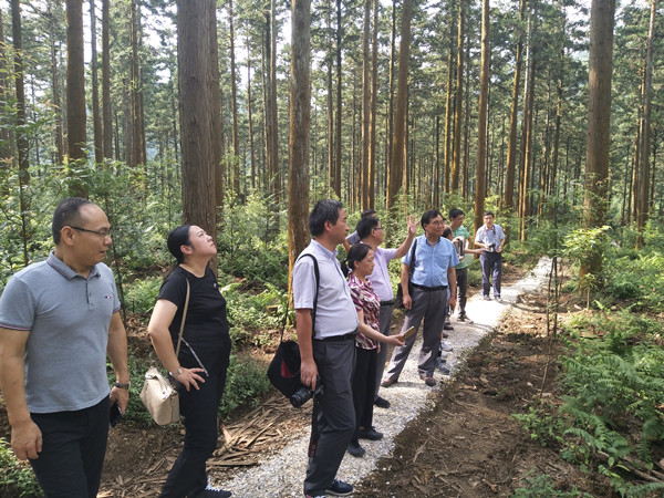 中国林业科学研究院项目实施组来攸开展项目课题调研