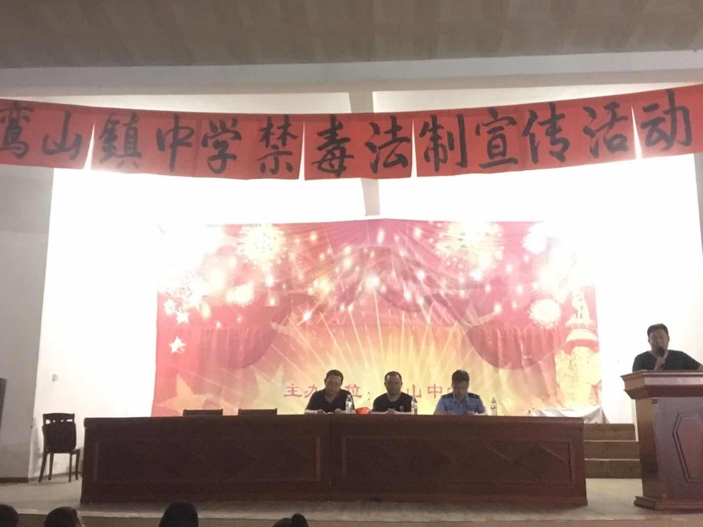 鸾山镇开展校园法制禁毒教育活动