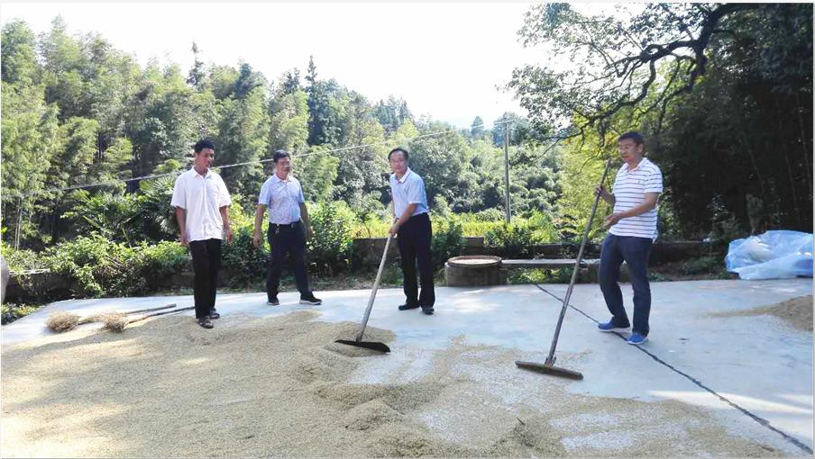市国资委党委班子成员赴定点帮扶对象 炎陵县车溪村督查工作进展