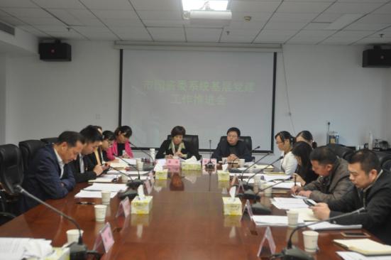 市国资委召开系统基层党建工作推进会