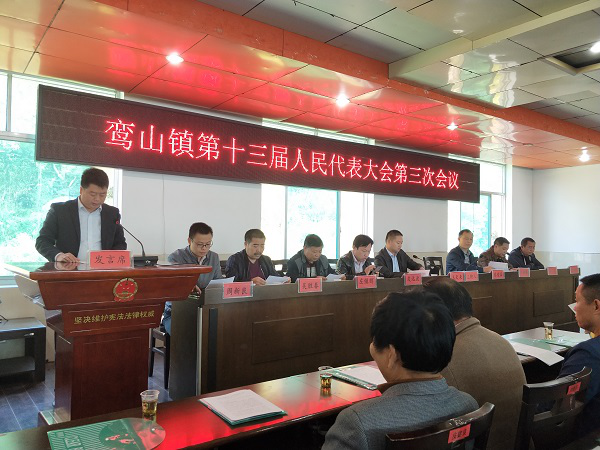 鸾山镇召开第十三届人民代表大会第三次会议