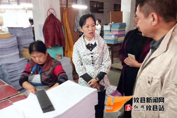 攸县开展文化市场督查行动