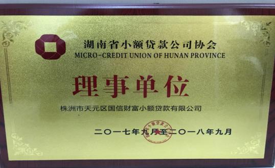 国信财富小贷公司成为湖南省 小额贷款公司协会理事单位