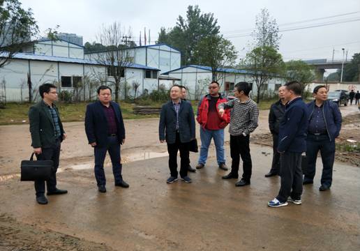 区委常委、组织部长李斌督查翠塘黑臭水体等项目建设情况
