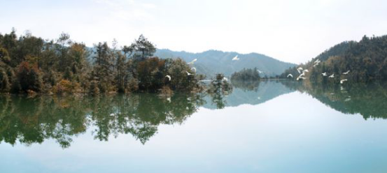 除了神农湖/万丰湖 株洲还有这些湿地景观