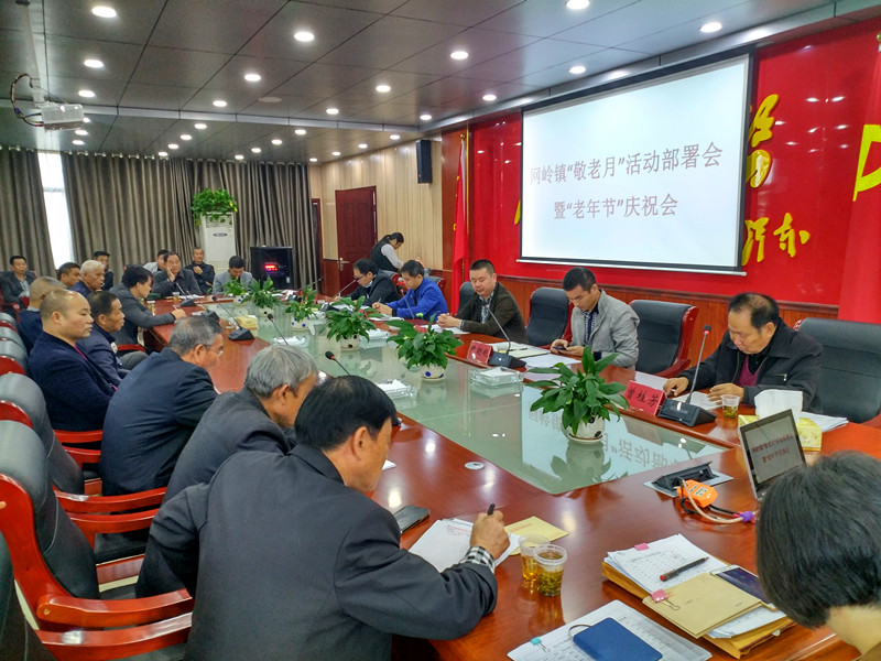 网岭镇召开“敬老月”活动部署会暨 “老年节”庆祝会