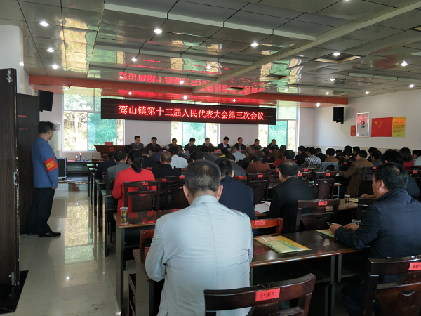 鸾山镇召开第十三届人民代表大会第三次会议