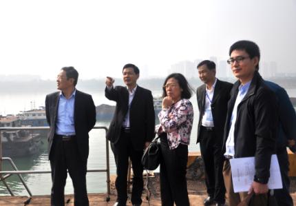 国开行评管局领导考察清水塘：大力支持义不容辞