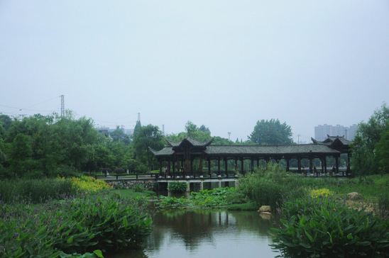 除了神农湖/万丰湖 株洲还有这些湿地景观