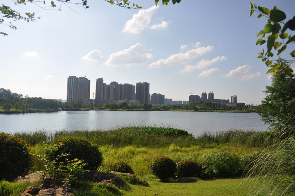 除了神农湖/万丰湖 株洲还有这些湿地景观