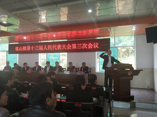 鸾山镇召开第十三届人民代表大会第三次会议