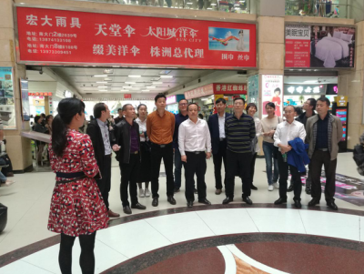 芦淞区人大第二代表团(建设地区)代表活动纪实