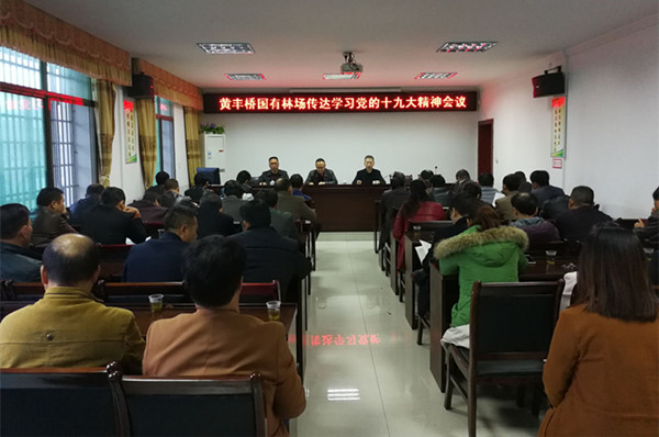 黄丰桥国有林场传达学习党的十九大会议精神