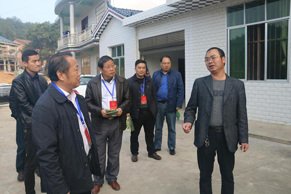 市县人大代表为攸县油茶产业发展建言献策