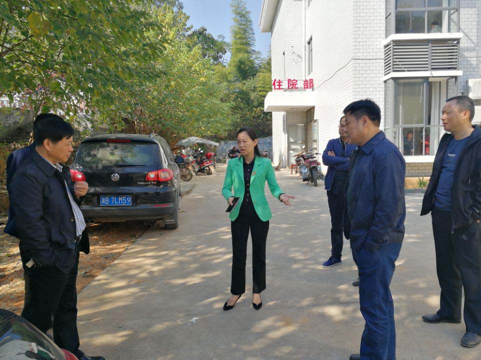 副县长罗曼调研指导乡镇卫计工作要求“三优”服务“三农”