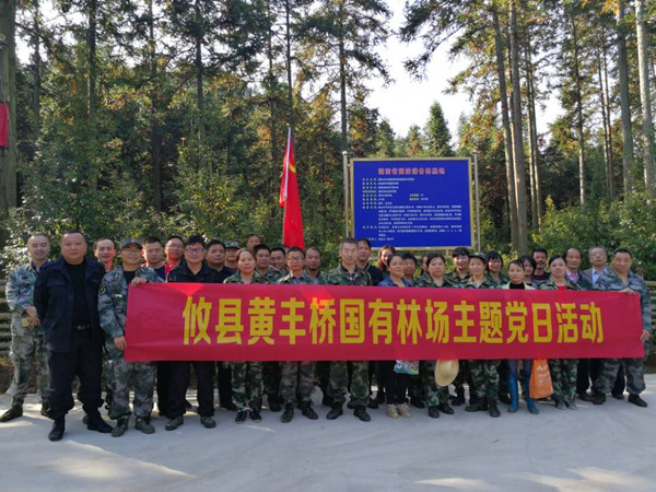 黄丰桥国有林场主题党日活动在青山绿林间举行