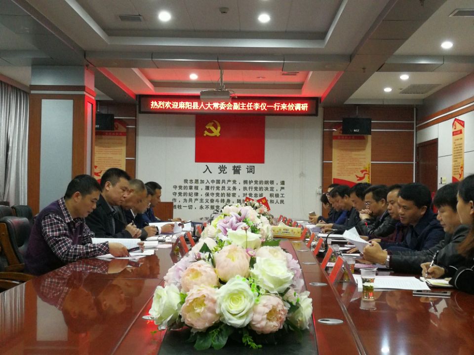 麻阳县人大来攸调研医改和健康扶贫工作