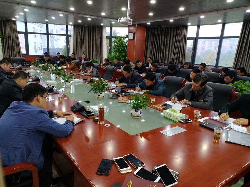 网岭镇组织十九大报告和基层党建基础知识测试
