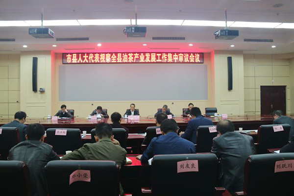 市县人大代表为攸县油茶产业发展建言献策