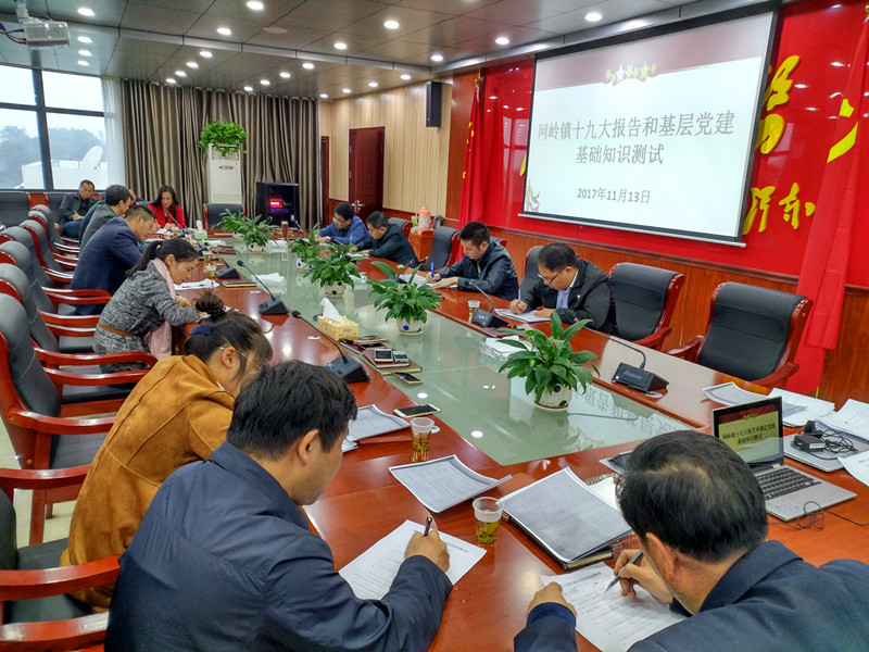 网岭镇组织十九大报告和基层党建基础知识测试
