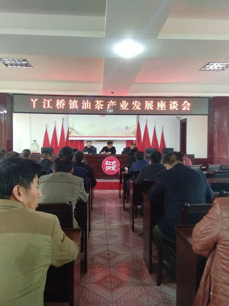 攸县林业局在丫江桥等地调研油茶育苗产业情况