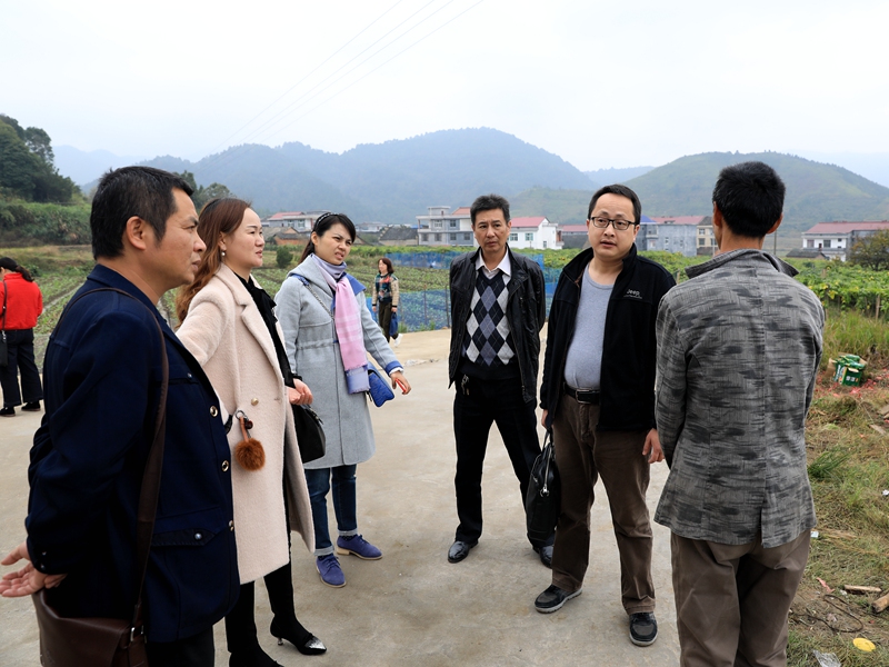 市委第五巡察组在茶陵县东首村检查扶贫工作