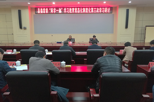攸县县委常委“两学一做”第三次学习研讨会:学习贯彻党的十九大精神