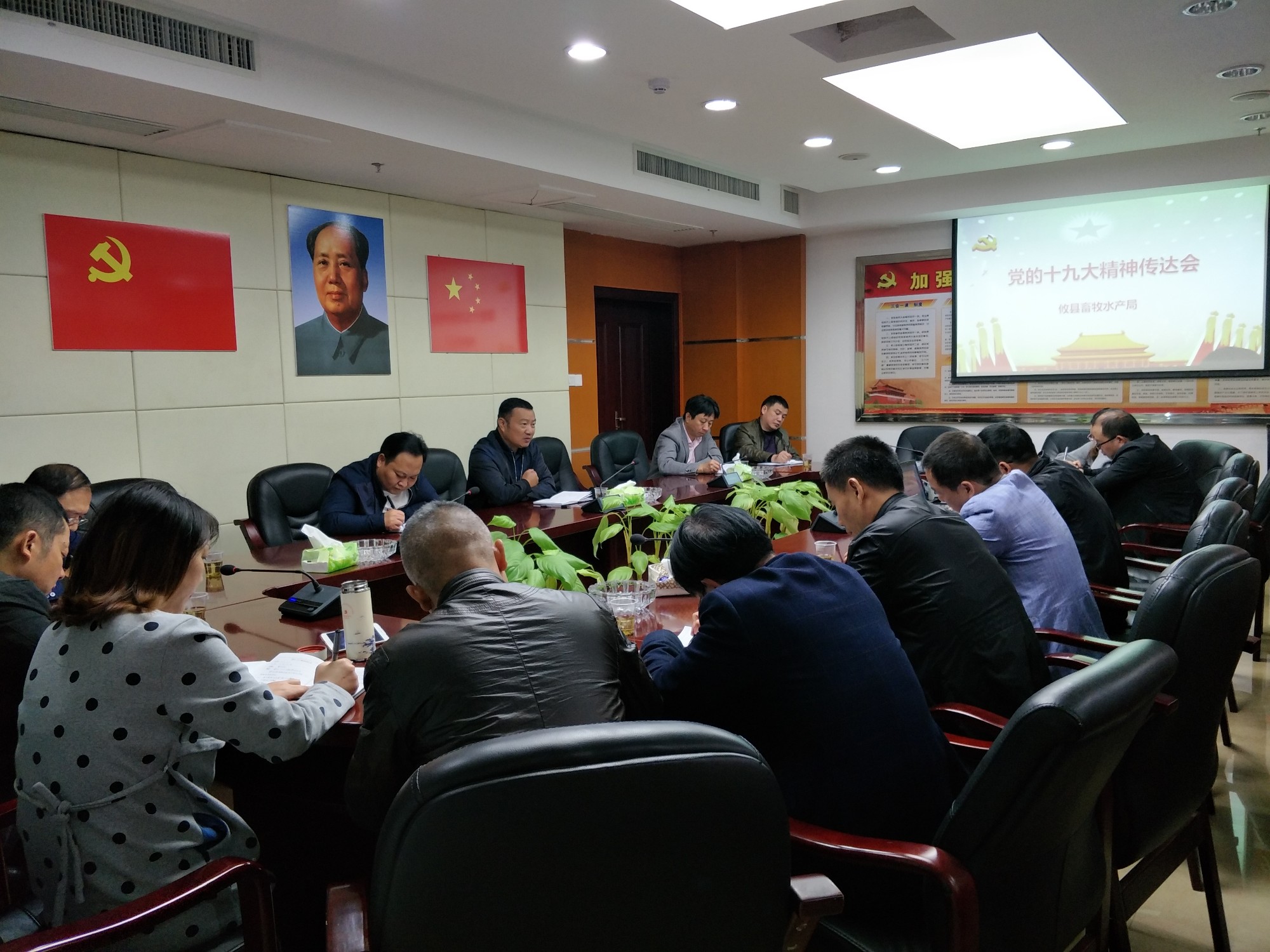学习党的十九大,争做畜牧排头兵