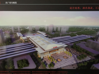芦淞区人大第二代表团(建设地区)代表活动纪实