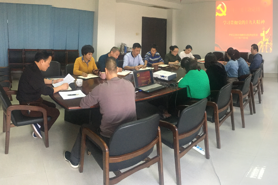 区商务和粮食局机关党支部开展11月份主题党日活动