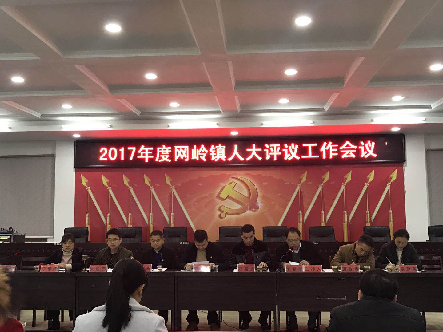 网岭镇组织召开人大评议工作会议
