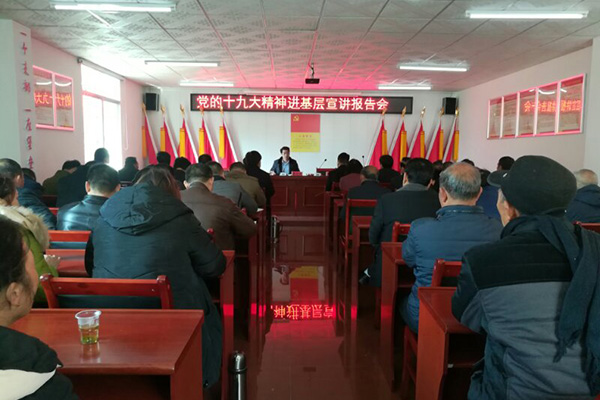 蒋芷境到鸾山镇江冲村宣讲党的十九大精神