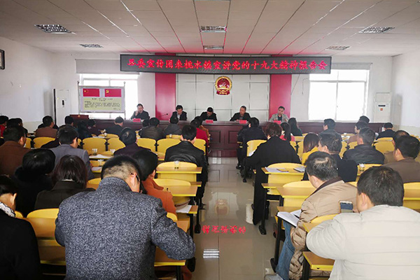 县委宣讲团走进桃水镇宣讲党的十九大精神