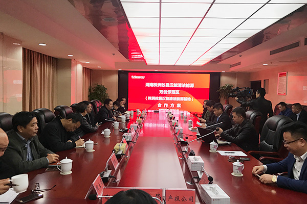 汉能控股集团来攸县考察洽谈项目
