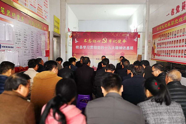 刘秀云到宁家坪笔武村宣讲党的十九大精神