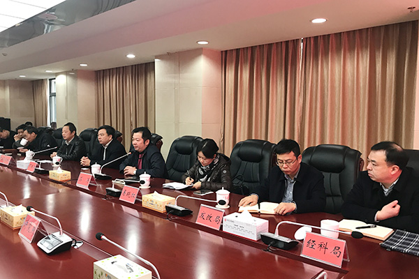 汉能控股集团来攸县考察洽谈项目