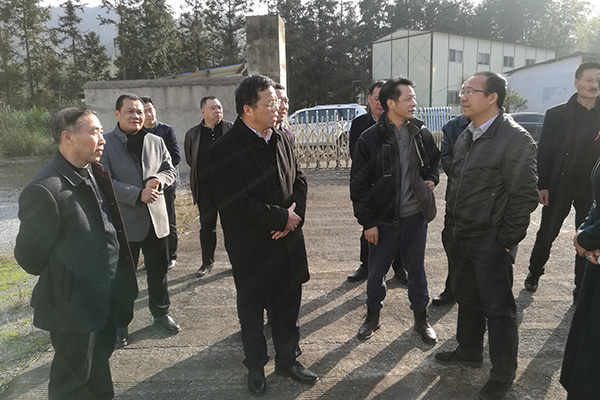 湖南工业大学校长谭益民率考察组到我县考察竹类新材料建设情况
