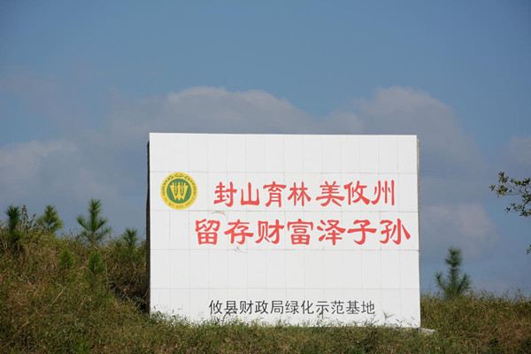 攸县大力开展紫色页岩山地造林灭荒行动