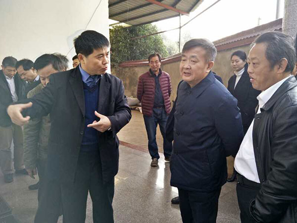 湖南省人大常委会副主任谢勇来攸调研