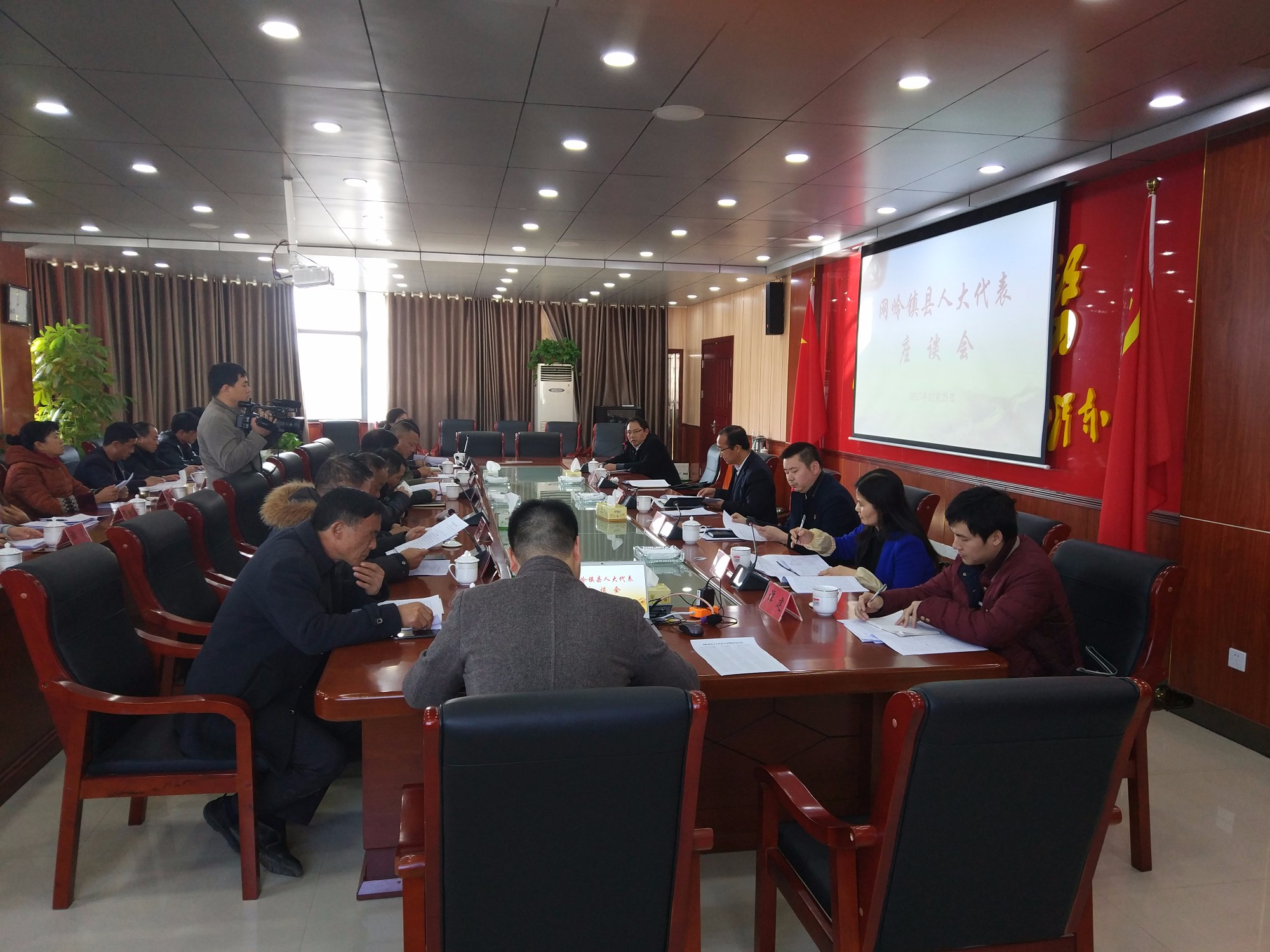 网岭镇召开人大代表座谈会