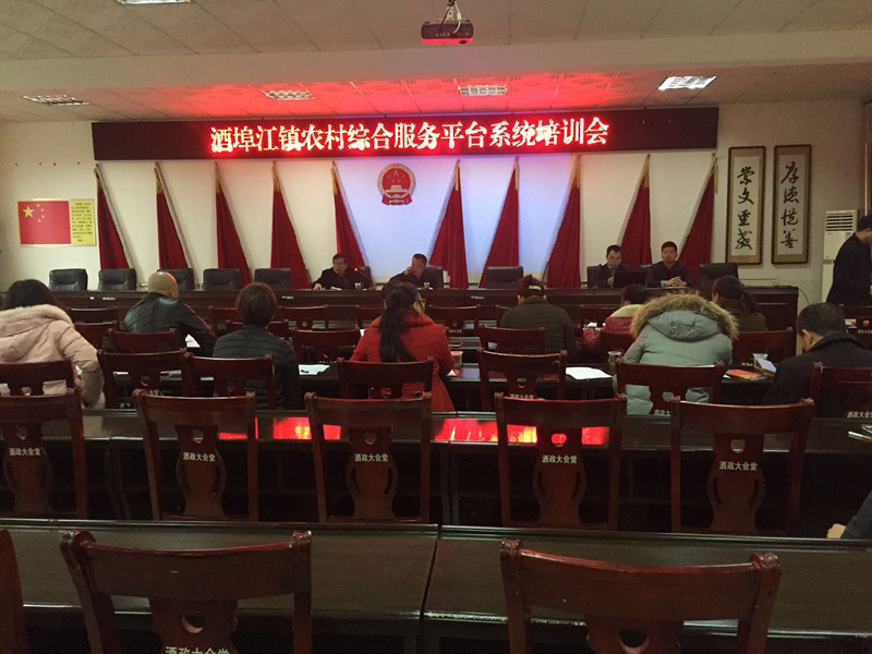 酒埠江镇农村综合服务平台系统培训会