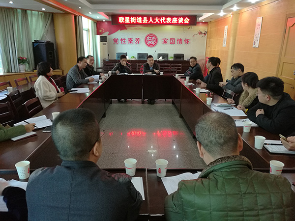 县领导就县人大常委会和“一府两院”工作报告征求县人大代表意见