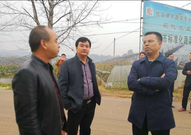 宁家坪镇：刘秀云到笔武村宣讲党的十九大精神