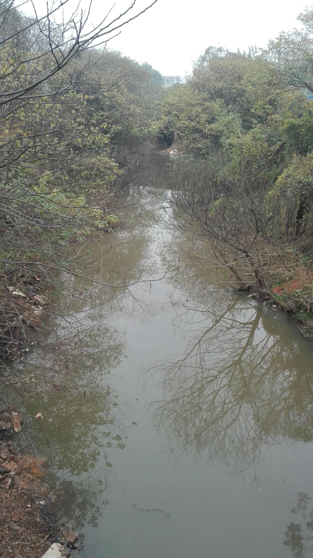 枫溪街道“河长制”保护水环境正在行动中