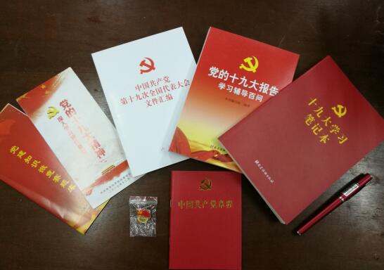 区政府办为老党员“送党章 戴党徽 ”深入开展“五个一”活动