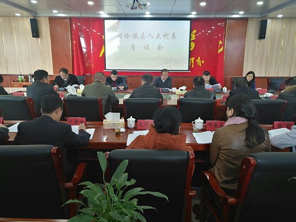 唐卫湘就县人大常委会和“一府两院”工作报告征求县人大代表意见