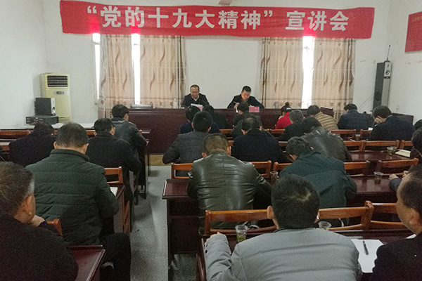 唐卫湘到网岭镇罗家坪村宣讲党的“十九大”精神