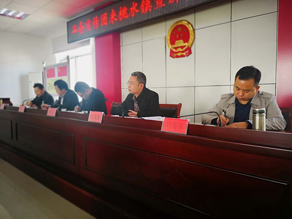 县委宣讲团走进桃水镇宣讲党的十九大精神