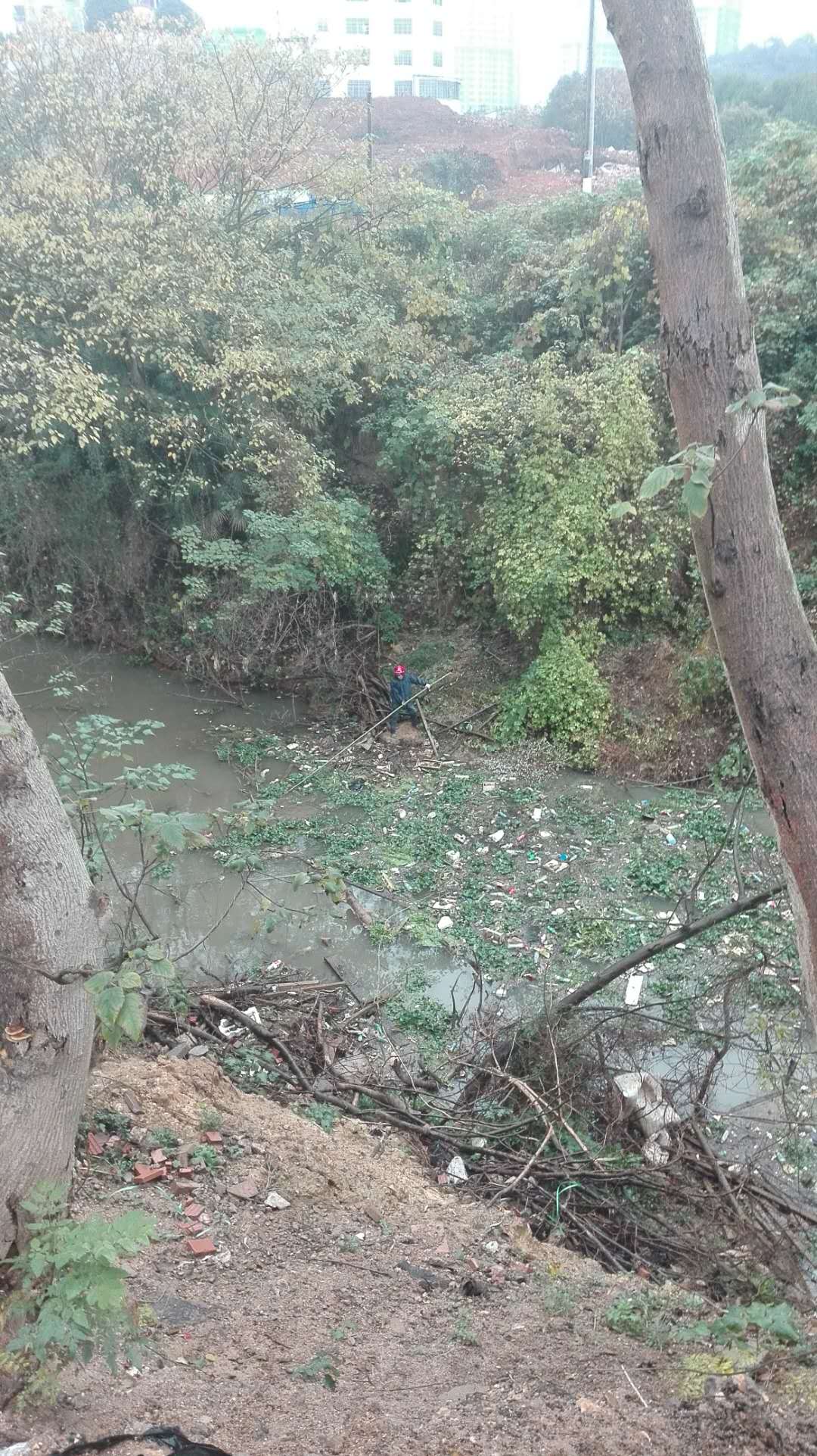 枫溪街道“河长制”保护水环境正在行动中